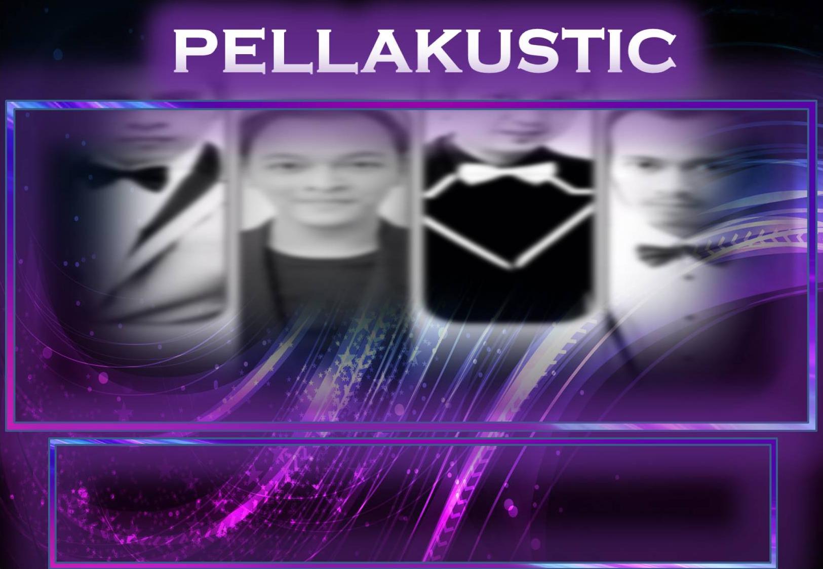 Pellakustic